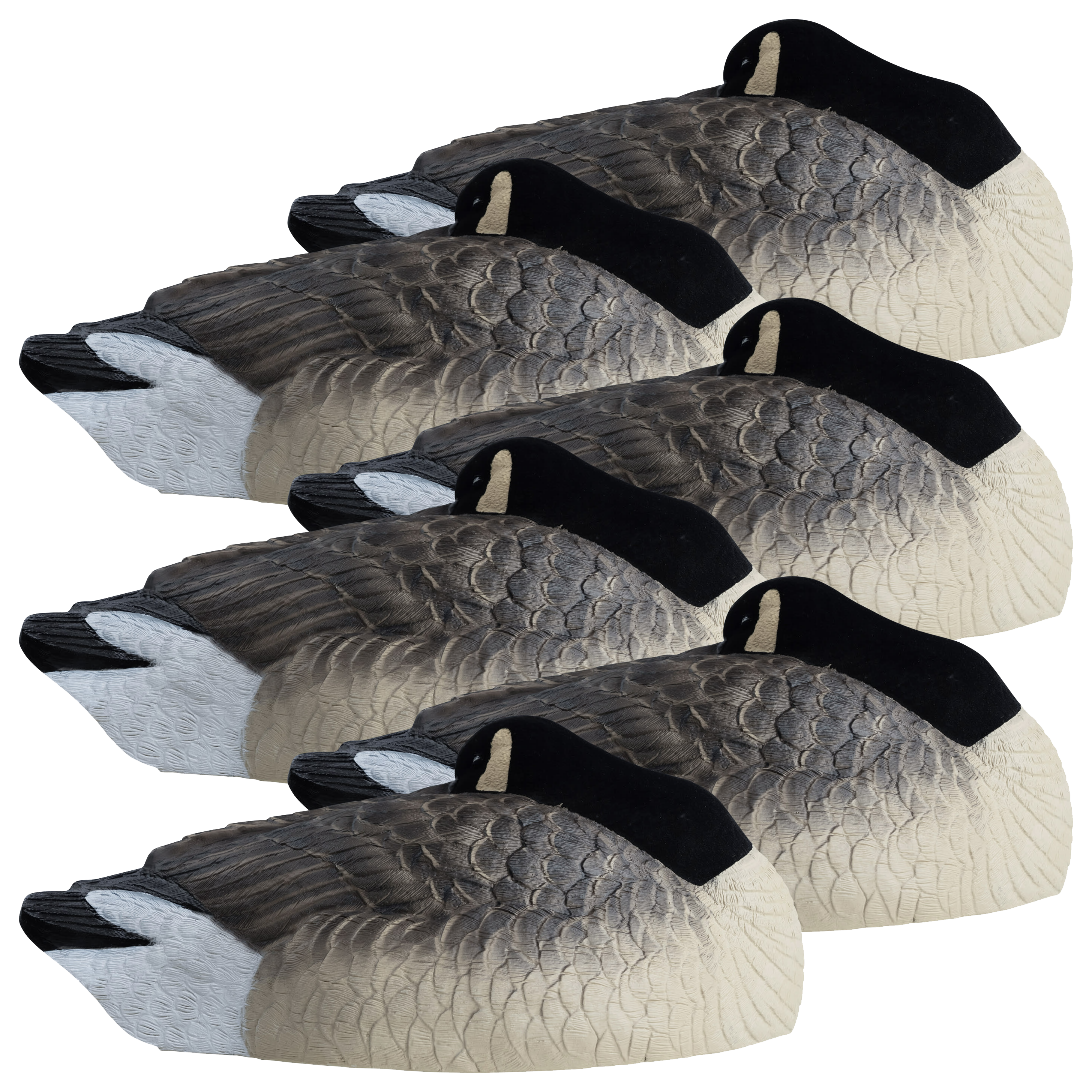 Hardcore Rugged Series Canada Goose Sleeper Shell Decoys | Bass Pro Shops